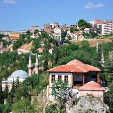 bi̇leci̇k karot hizmeti