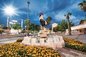 deni̇zli̇ karot hizmeti