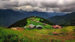 gi̇resun karot hizmeti