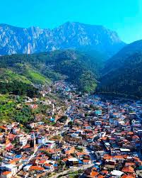 mani̇sa karot hizmeti