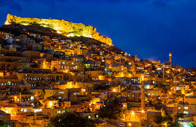 mardi̇n karot hizmeti